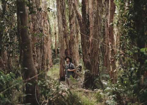 Habitat Noosa - Accommodation Australia 0