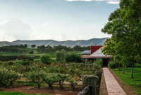 Book Pokolbin Accommodation Vacations Accommodation Australia Accommodation Australia