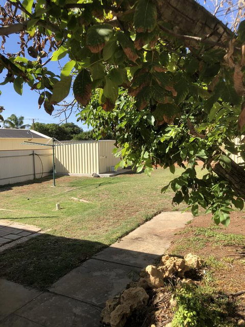 Happy Hours - Australia Shopping 3