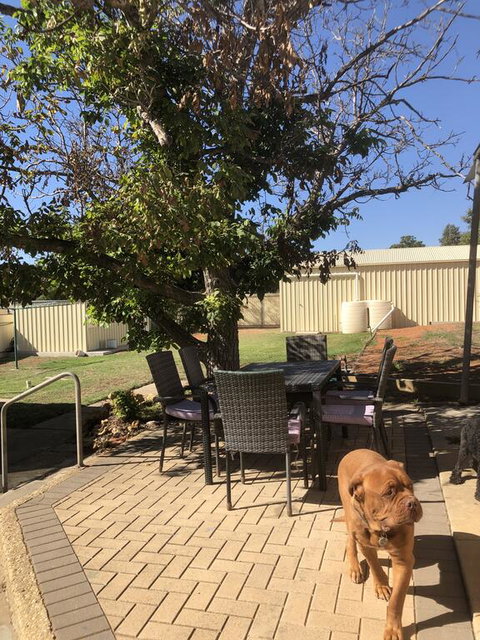 Happy Hours - Australia Shopping 2