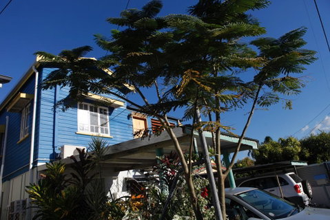 Happytourcairns Sharehouse - Accommodation Australia 0