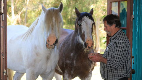 Hatchers Richmond Manor - Accommodation Australia 1