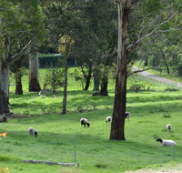 JAN'S ART STUDIO AT ASHBY RISE - Local Tourism
