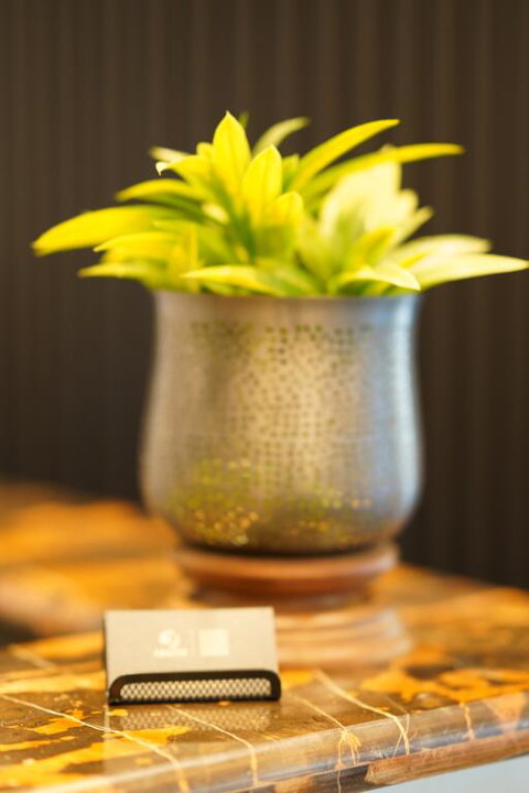 Jephson Hotel & Apartments - Accommodation Australia 3