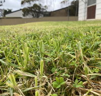 Karoonda Accommodation - Australia Shopping
