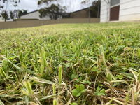 Book Karoonda Accommodation Vacations Accommodation Australia Accommodation Australia