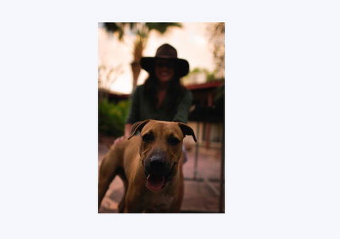 Kimberley Croc Motel - Accommodation Australia 1