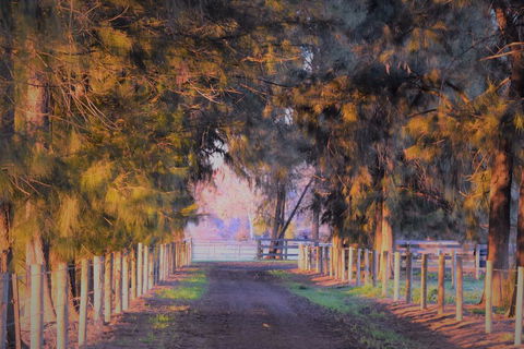 King River Cottage - Accommodation Australia 3
