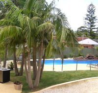 Koala Tree Motel - Accommodation Australia