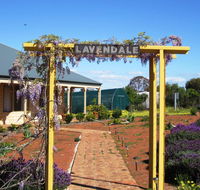 Lavendale Farmstay and Cottages York - Australia Shopping