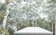 Lemon Tree Cottage - Bendeela - thumb 3