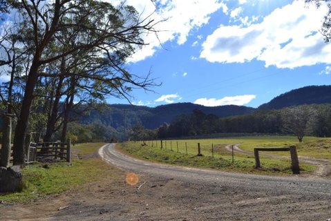 Lemon Tree Cottage - Bendeela - Accommodation Australia 0