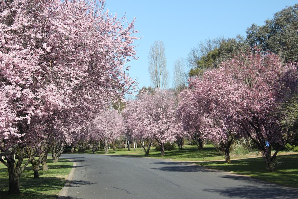Kelso NSW Local Tourism