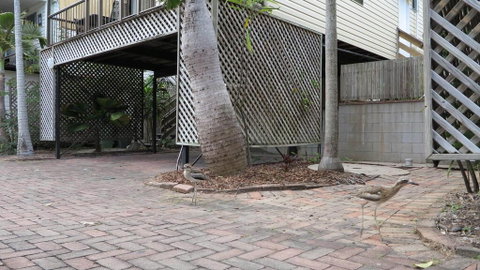Magnetic Haven Unit 6 - Accommodation Australia 2