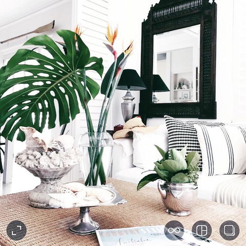 Manly Beach Retreat - Accommodation Australia 0
