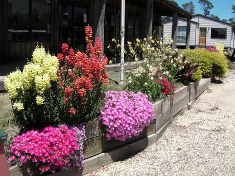 Mansfield Holiday Park - Accommodation Australia 3