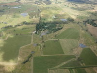 Mayfield Vineyard