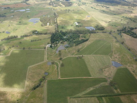 Mayfield Vineyard - Accommodation Australia 0