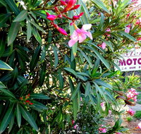 Mercury motor inn - Accommodation Australia