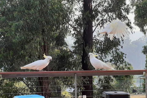 Merry Mary Casa - Accommodation Australia 3