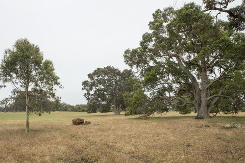 Metricup House - Elegant Country Retreat - Australia Shopping 2