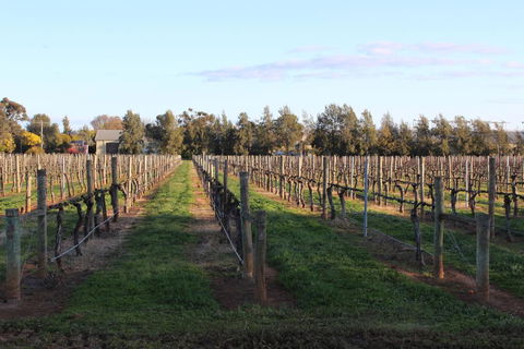 Milawa Vineyard Views - Guesthouse 1 - Accommodation Australia 1