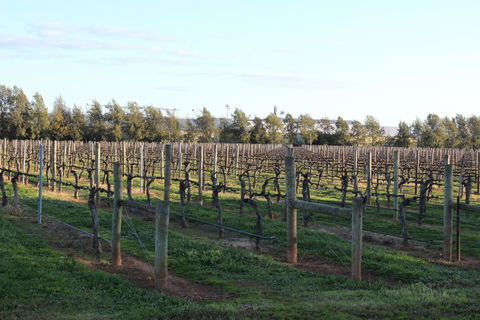 Milawa Vineyard Views - Guesthouse 2 - Accommodation Australia 0