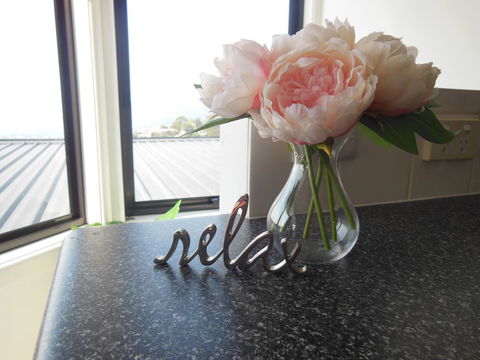 Modern Hobart Apartment With Stunning Views - Accommodation Australia 0