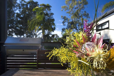 Mollymook Caravan Park - Accommodation Australia 2