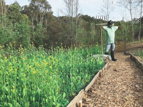 Mylor Farm, Adelaide Hills - Australia Shopping 1
