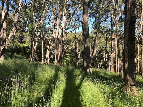 Mylor Farm, Adelaide Hills - Australia Shopping 0