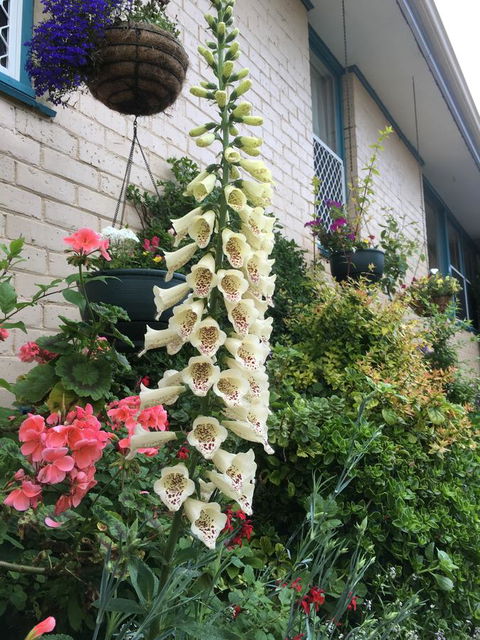 1849 Backpackers Albany - Accommodation Australia 32