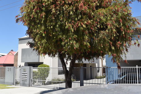 Central Executive Townhouse - Accommodation Australia 9