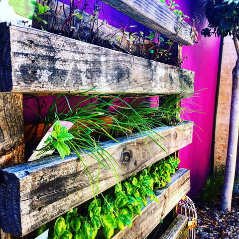 BeachHideaway@Scarborough - Local Tourism 11