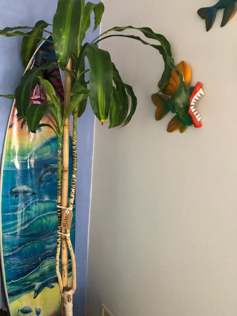 BeachHideaway@Scarborough - Local Tourism 28