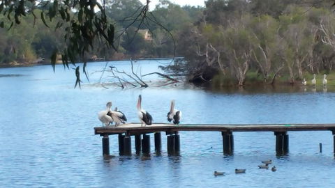 Jacaranda Hideaway Bed & Breakfast - Local Tourism 18