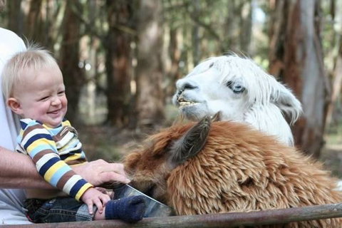 Margaret River Hideaway & Farmstay - Accommodation Australia 21