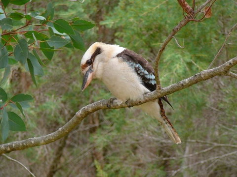 Margaret River Hideaway & Farmstay - Accommodation Australia 31