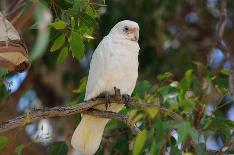 Margaret River Hideaway & Farmstay - Accommodation Australia 26