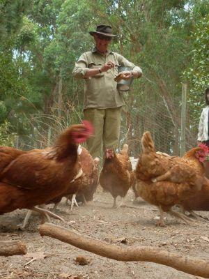 Margaret River Hideaway & Farmstay - Accommodation Australia 28