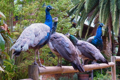 Margaret River Hideaway & Farmstay - Accommodation Australia 19
