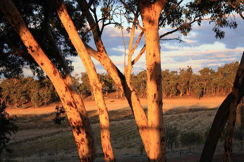Hotham Ridge Estate - Australia Shopping 30