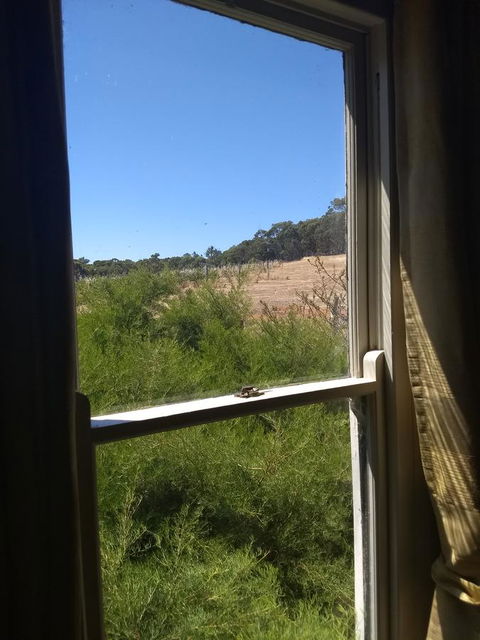 Hotham Ridge Estate - Australia Shopping 8