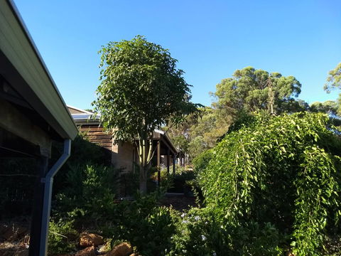 Hotham Ridge Estate - Australia Shopping 5