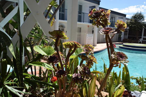 Seashore Memories - Sleeps 3 - Accommodation Australia 14