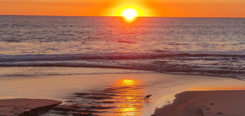 West Beach Lagoon 202 - Quiet & Ground Floor! - Local Tourism 30