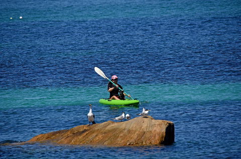 Sandpiper Retreat - Accommodation Australia 29