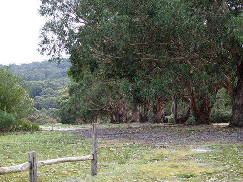 Riverside Retreat Chalets, Walpole - Accommodation Australia 17
