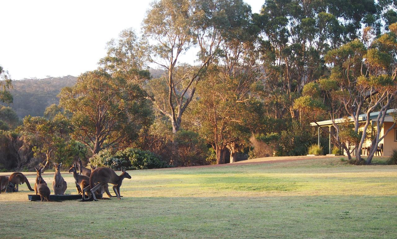  Accommodation Australia