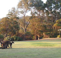 Riverside Retreat Chalets Walpole - Accommodation Australia